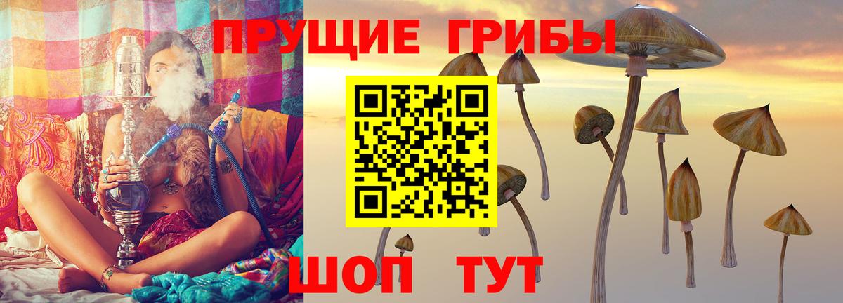Электрогорск  Псилоцибиновые грибы мухоморы  Вход с VPN 